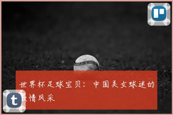 世界杯足球宝贝:中国美女球迷的激情风采