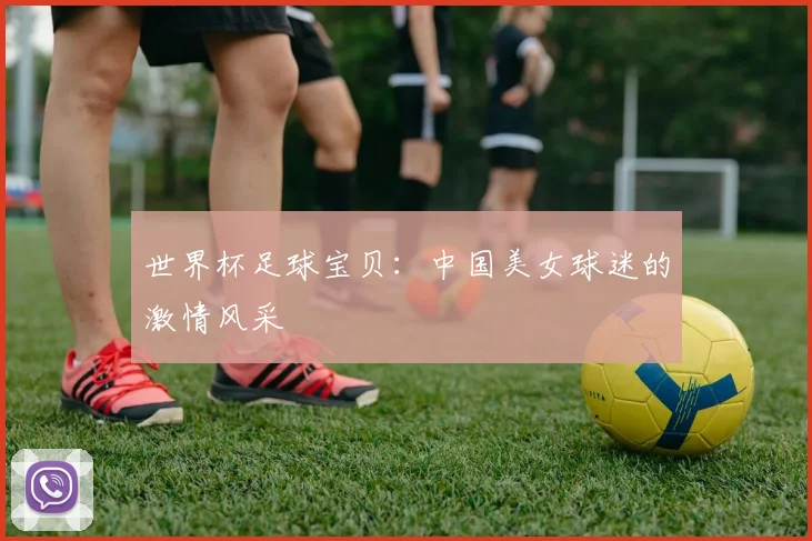 世界杯足球宝贝:中国美女球迷的激情风采
