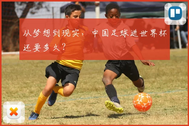 从梦想到现实,中国足球进世界杯还要多久?