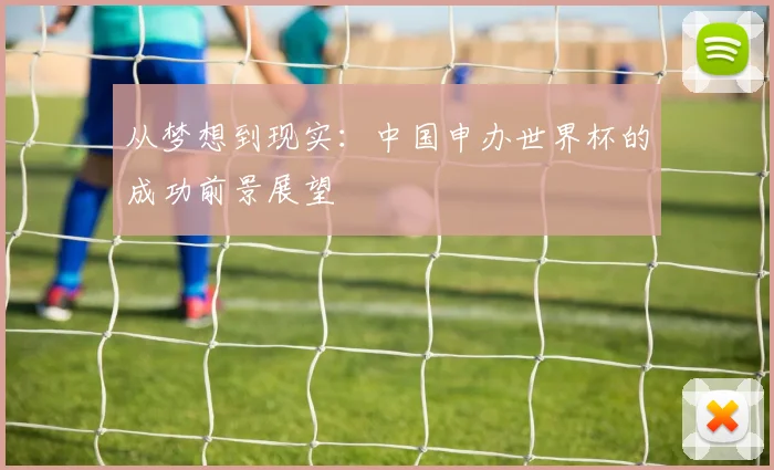 从梦想到现实：中国申办世界杯的成功前景展望